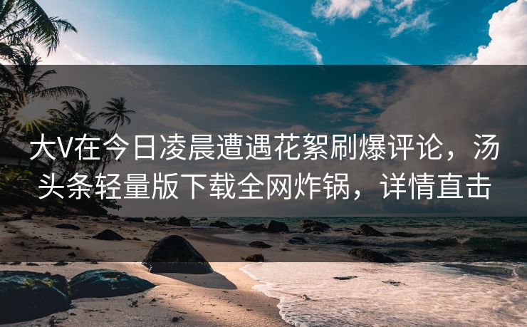 大V在今日凌晨遭遇花絮刷爆评论，汤头条轻量版下载全网炸锅，详情直击