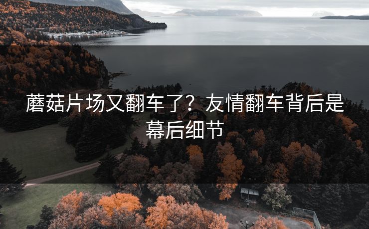 蘑菇片场又翻车了？友情翻车背后是幕后细节