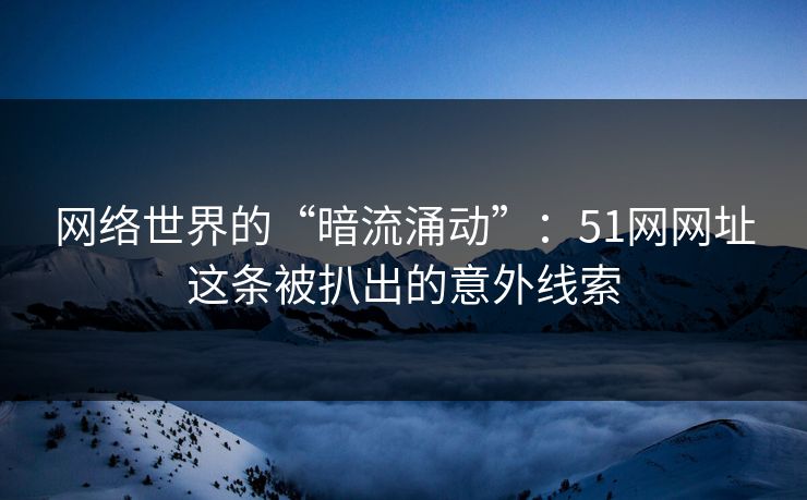 网络世界的“暗流涌动”：51网网址这条被扒出的意外线索